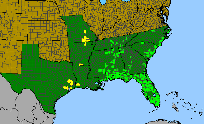 The range of Ludwigia microcarpa